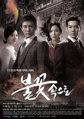 合肥seo搜索引擎优化多少钱